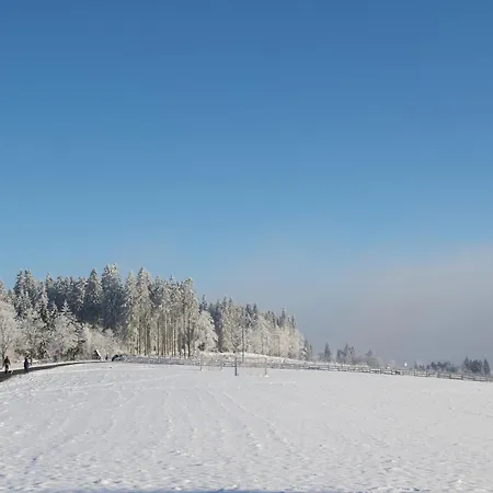 Welcome In - 'winterglueck', Wunderschoene Umgebung, Ski- Und Fahrradabstellraum - Neuastenberg, *