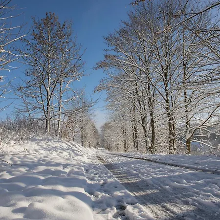 Appartamento Welcome In - 'winterglueck', Wunderschoene Umgebung, Ski- Und Fahrradabstellraum - Neuastenberg, *