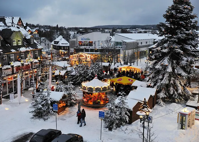 Welcome In - Winterglueck, Prachtige Omgeving, Ski- En Fietsberging Winterberg